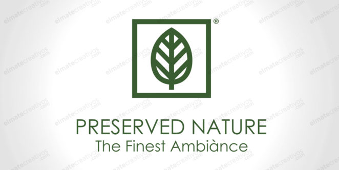 Diseño de logo para nueva línea de productos naturales preservados para interiores. 